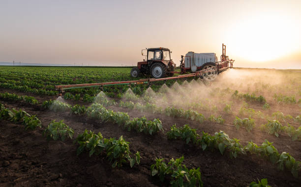 Best Pest Control Near Me  in Suisun City, CA