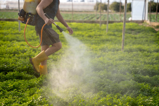 Best Exterminator Services  in Suisun City, CA